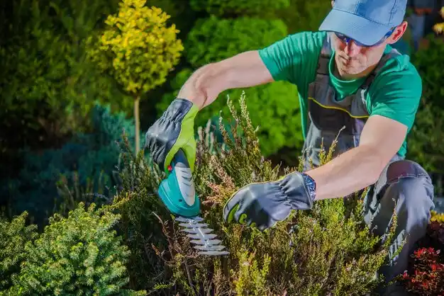 landscaping services Philo